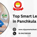 Top Smart Learning Schools in Panchkula